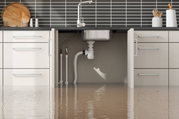 Best Professional water damage repair  in Pleasantville, NJ