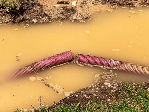 Best Water damage restoration insurance claims  in Pleasantville, NJ