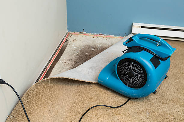 Best Water damage restoration near me  in Pleasantville, NJ